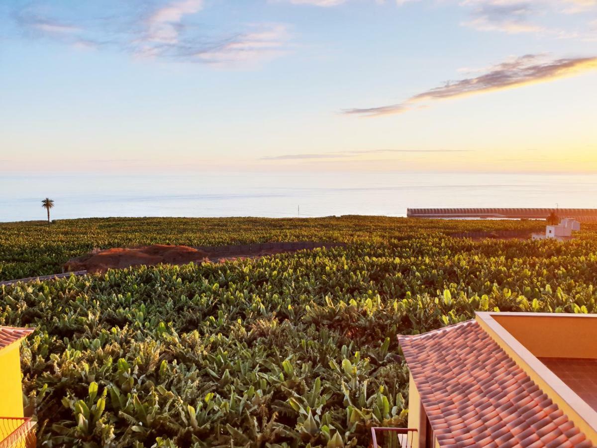 Апартаменты La Palmita Sunset Тасакорте Экстерьер фото
